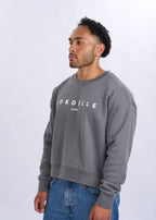 Man wearing a grey sweatshirt with text on a white background